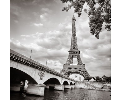 Фотообои Эйфелева башня, монохромная фотография